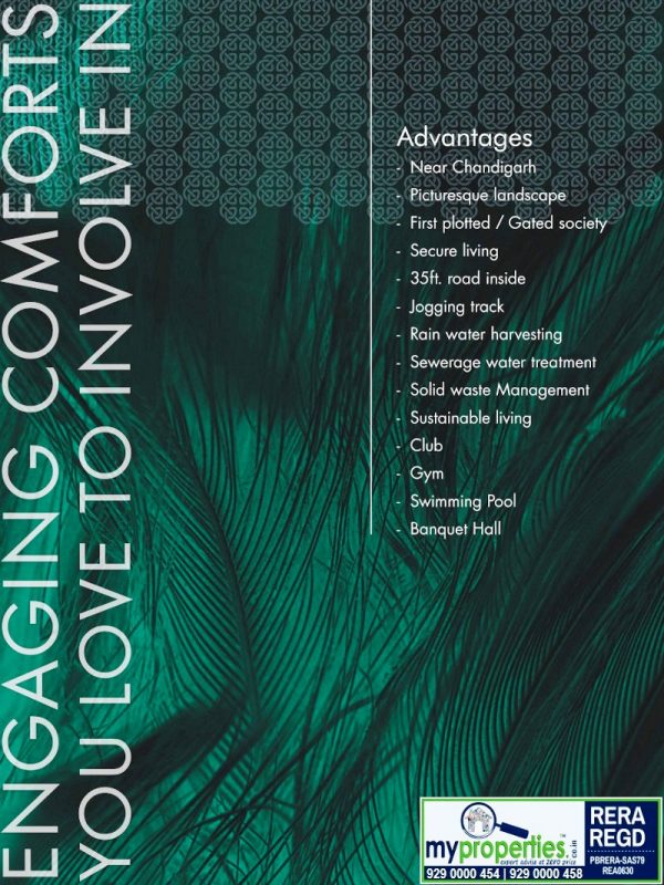 Central Town Zirakpur Central Plaza Zirakpur Call 9290000454