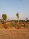 150 Sq Yards Plot For Sale in Aero City Mohali || Plot at Airport Road Mohali – Call – 9290000454