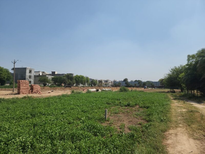 Get Luxurious Plots at Very Affordable Price of Tricity || Call – 8851893661 ||
