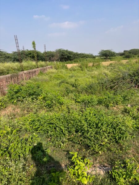 Residential Plots for Sale at Prime Location in Sec 123, Mohali | Call – 9888899718 |