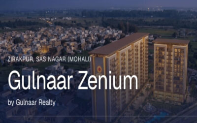 gulnaar-zenium-zirakpur